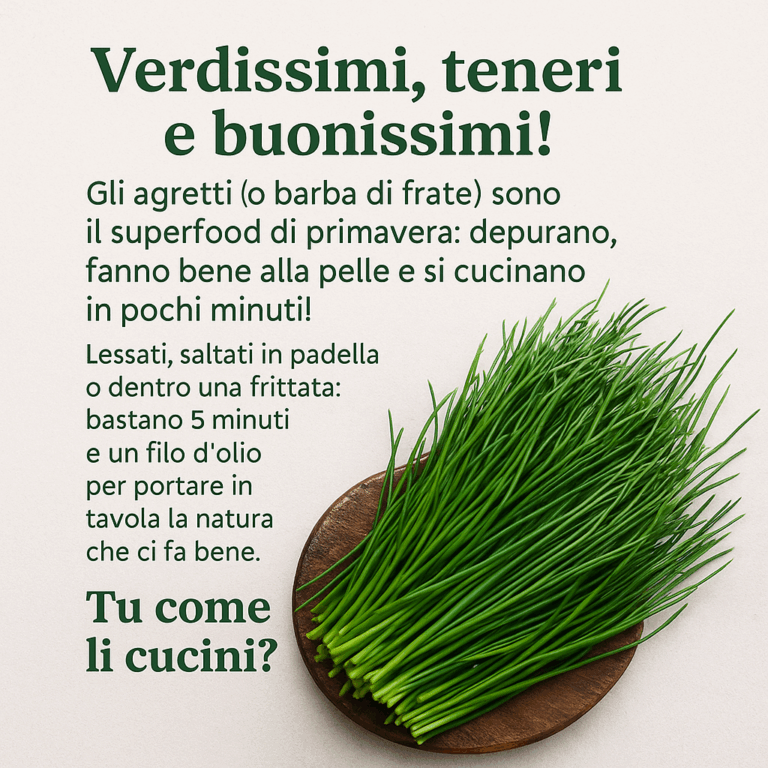 Agretti, il superfood di primavera che depura e conquista la tavola